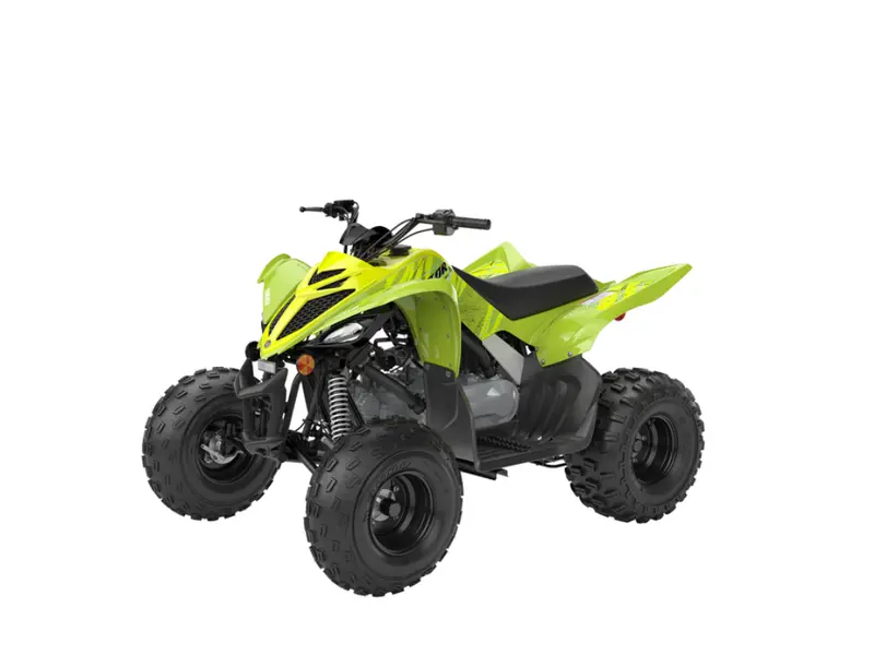 Yamaha RAPTOR 110 2026