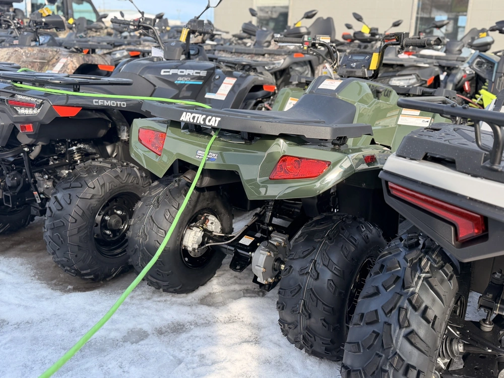 2026 Arctic Cat Alterra 300 alt
