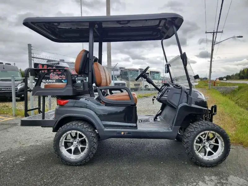 2024 Autre Leo EV M4 Cart de Golf thumbnail 3