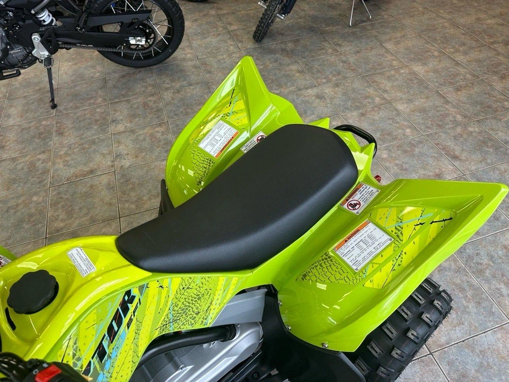 2026 Yamaha Raptor 110 alt