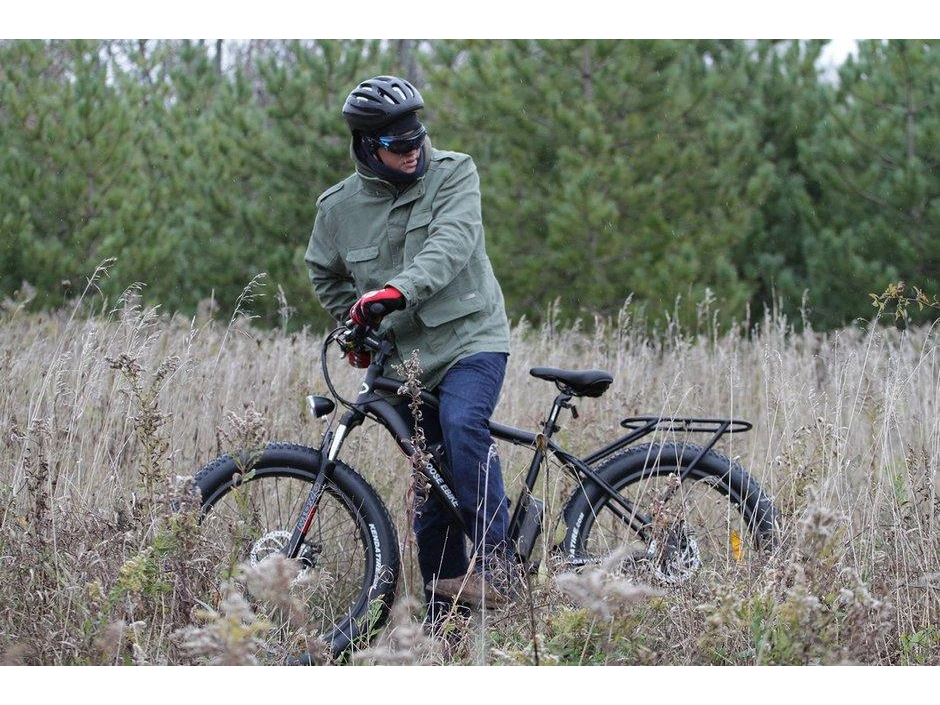 2021 Taubik Daymak Wild Goose 60v 12.5ah alt