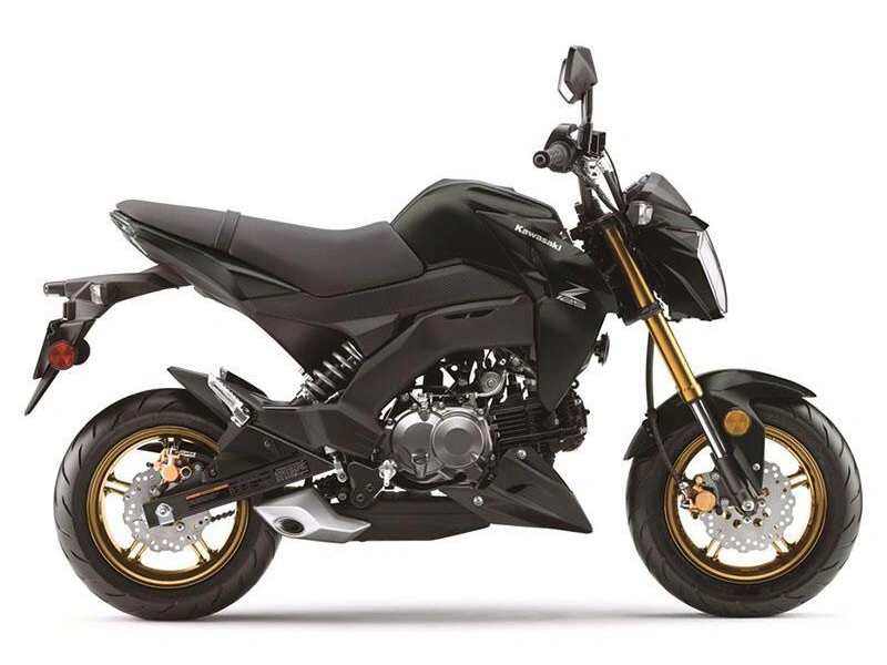 2025 Kawasaki Z125 Pro Base alt