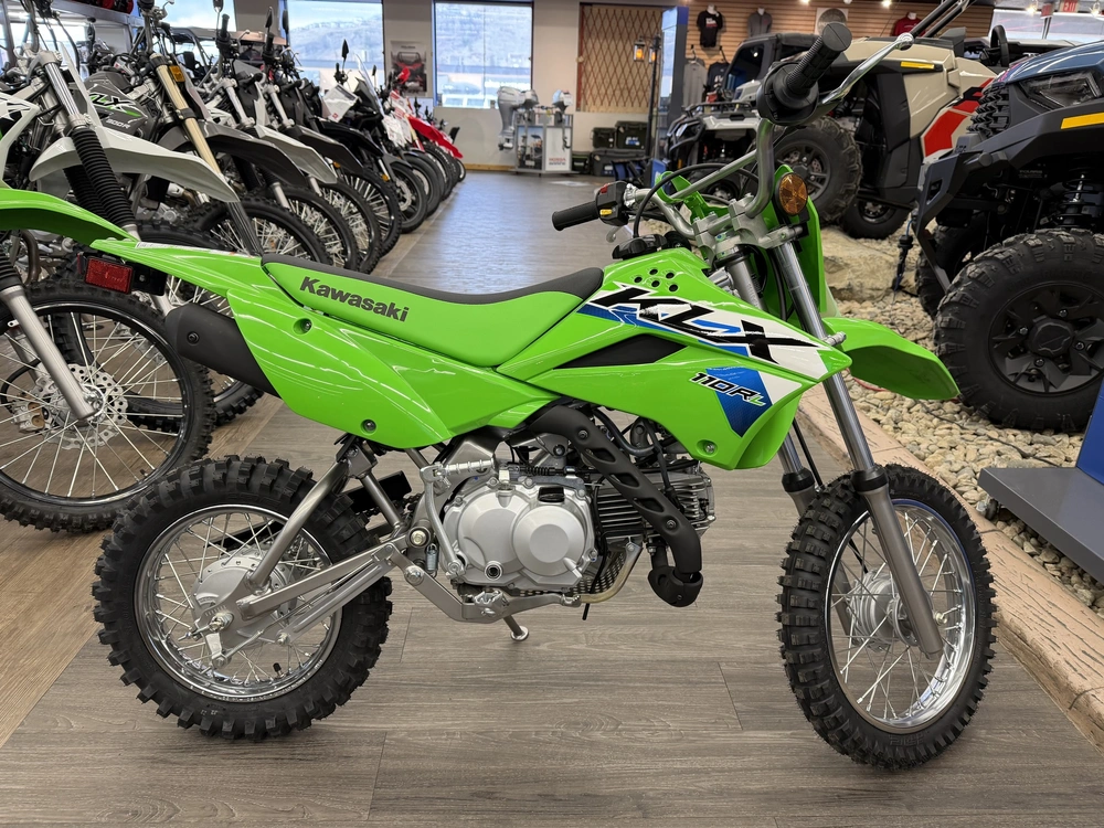 2026 Kawasaki Klx 110r L alt