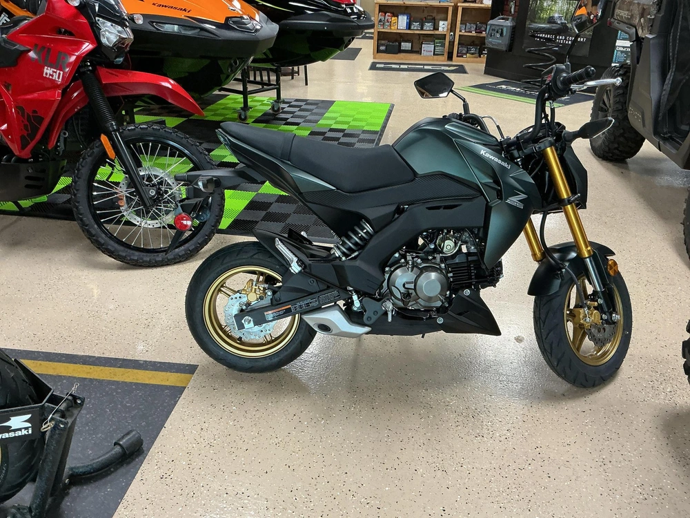 2025 Kawasaki Z125 Pro Base alt