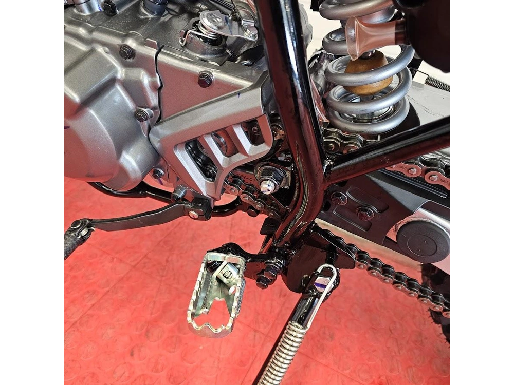 2026 Yamaha Tt-r230 alt