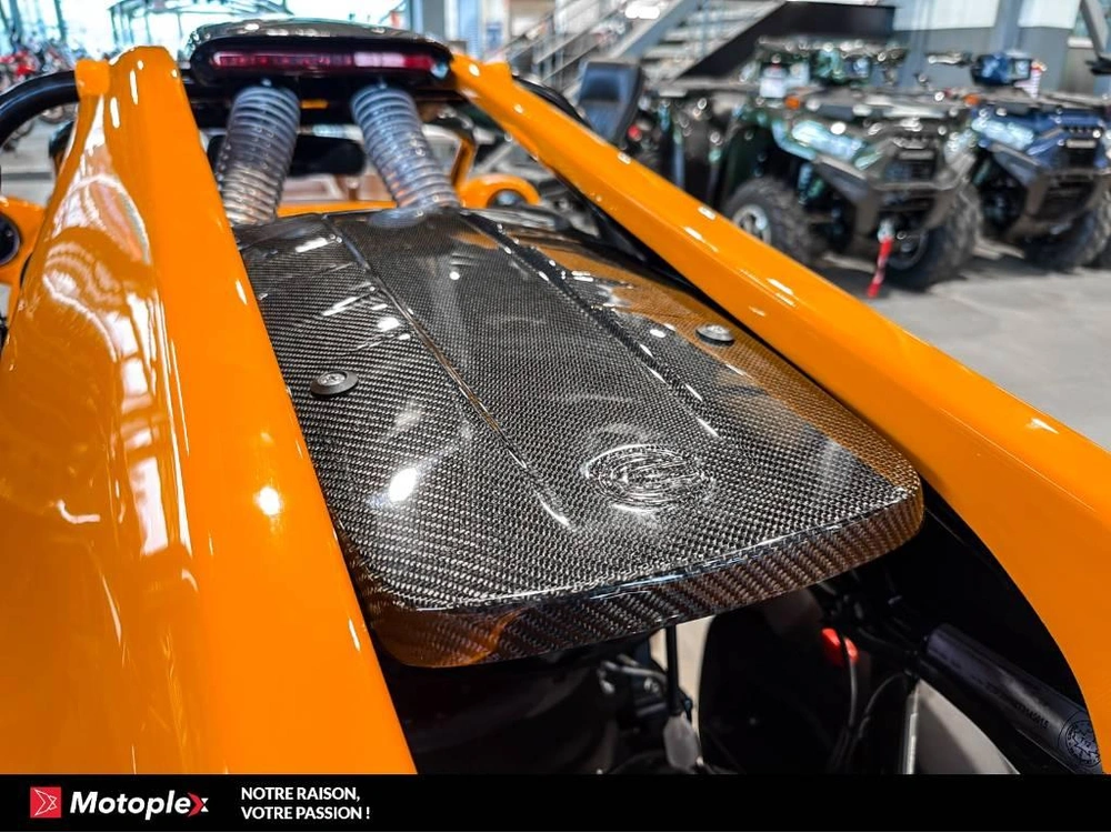 Campagna T-rex Rr 2025 alt