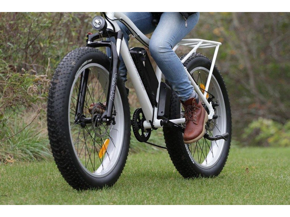 2021 Taubik Daymak Wild Goose 60v 12.5ah alt