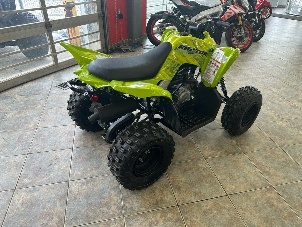 2026 Yamaha Raptor 110 alt