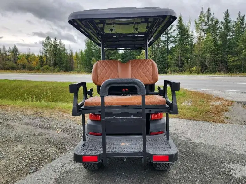 2024 Autre Leo EV M4 Cart de Golf thumbnail 5