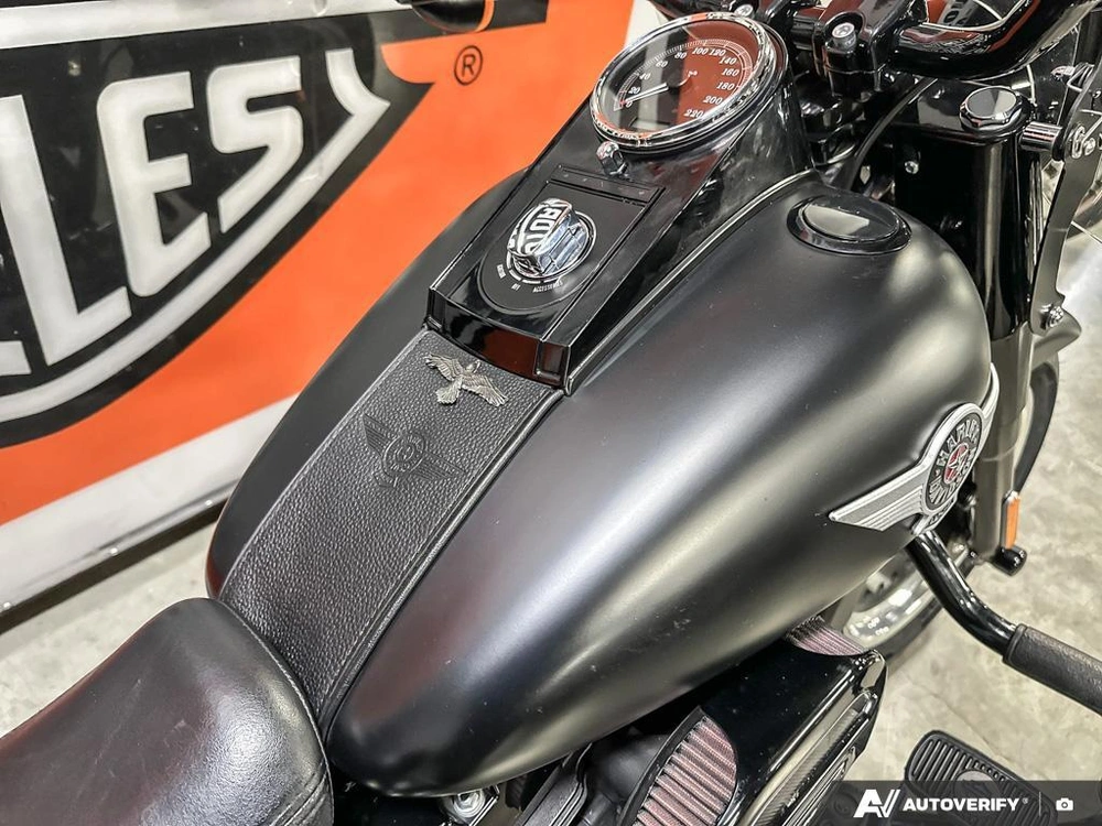 2017 Harley-davidson Fat Boy Lo S alt
