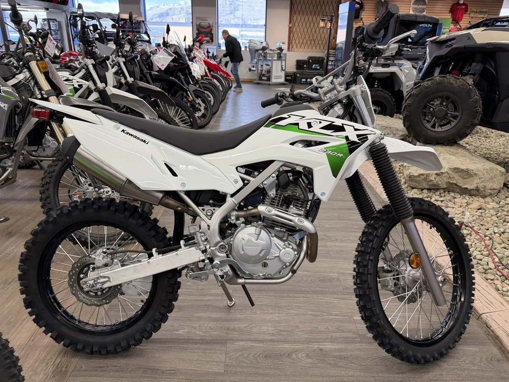 2026 Kawasaki Klx 230r alt