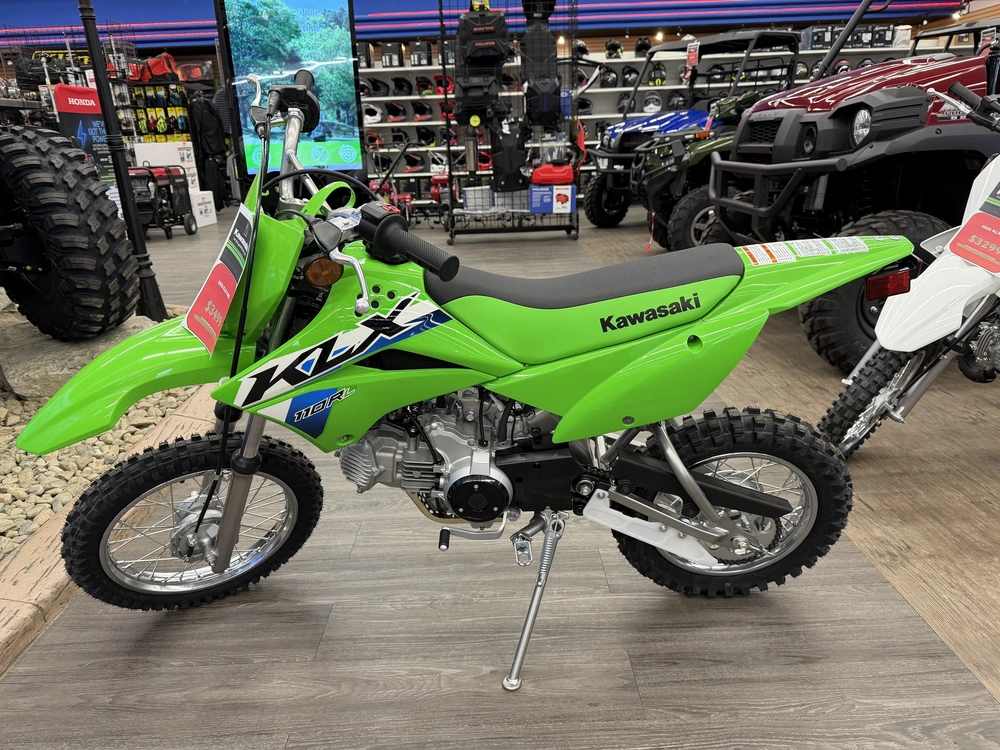 2026 Kawasaki Klx 110r L alt