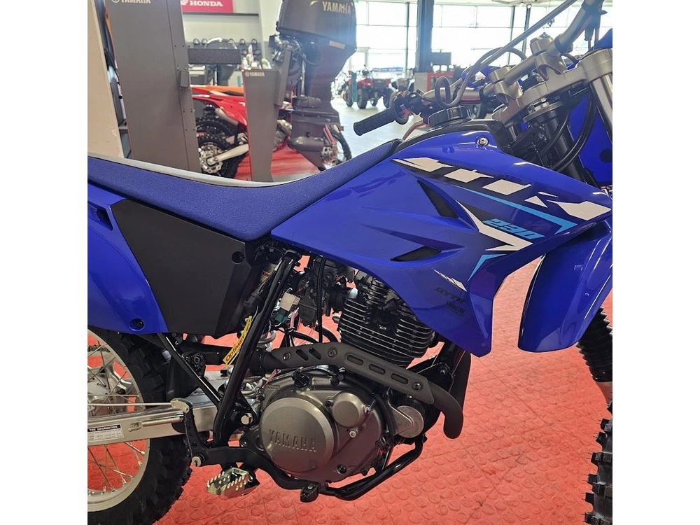 2026 Yamaha Ttr 230 alt