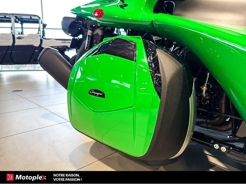 2026 Campagna T-REX RR