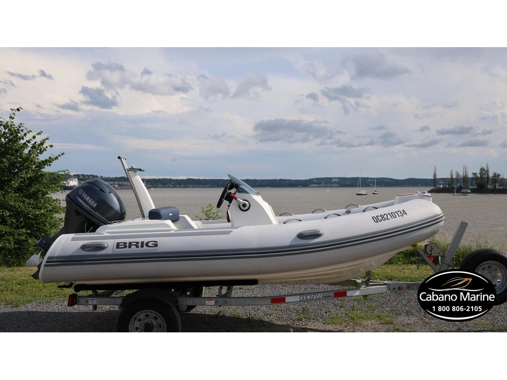 Brig Eagle 4 2022 alt