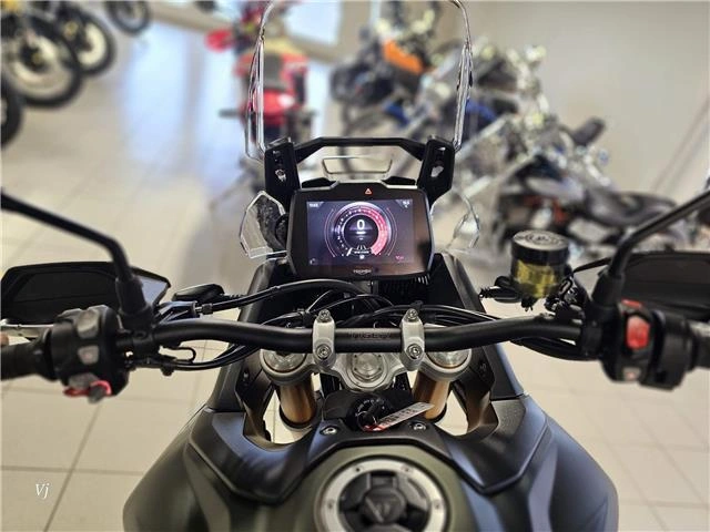 2025 Triumph Tiger 900 Rally Pro alt