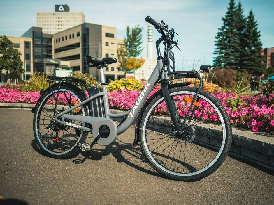 Taubik Taubik Innbruck 2023 alt