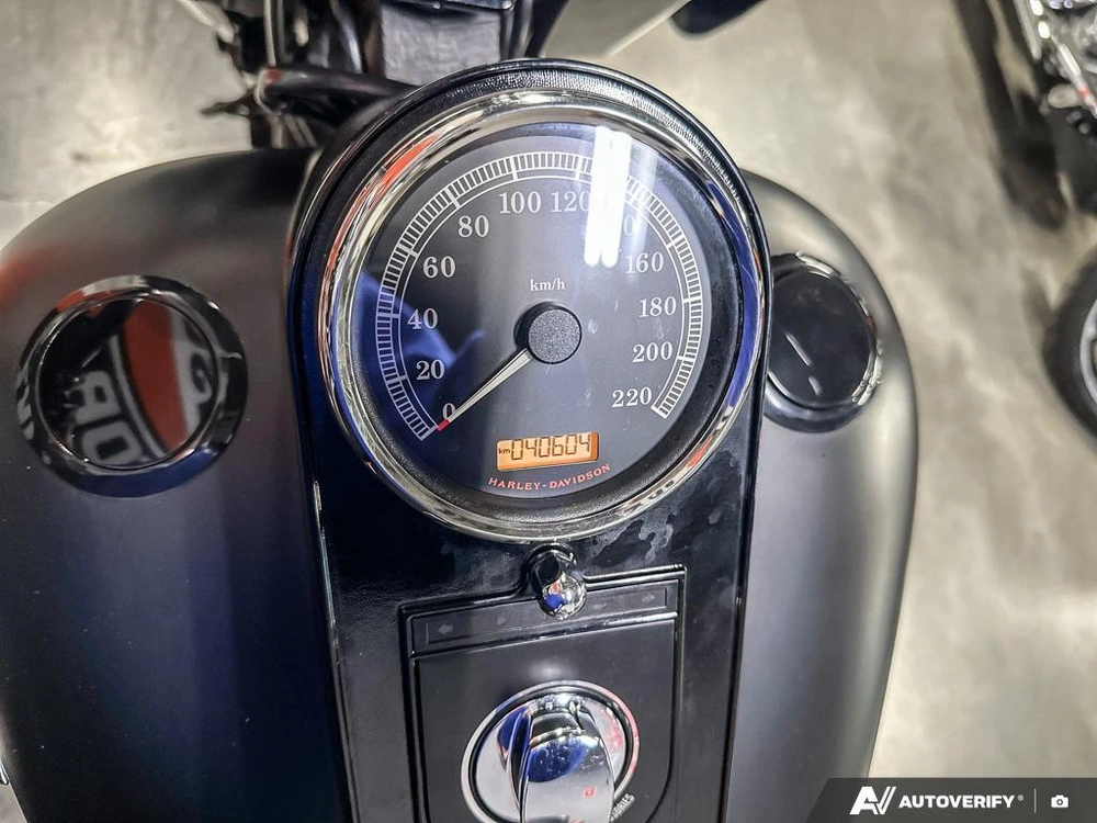 2017 Harley-davidson Fat Boy Lo S alt