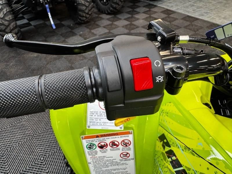 Yamaha Raptor 110 2026 alt