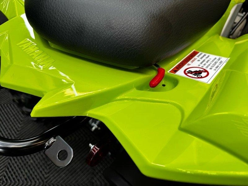 Yamaha Raptor 110 2026 alt