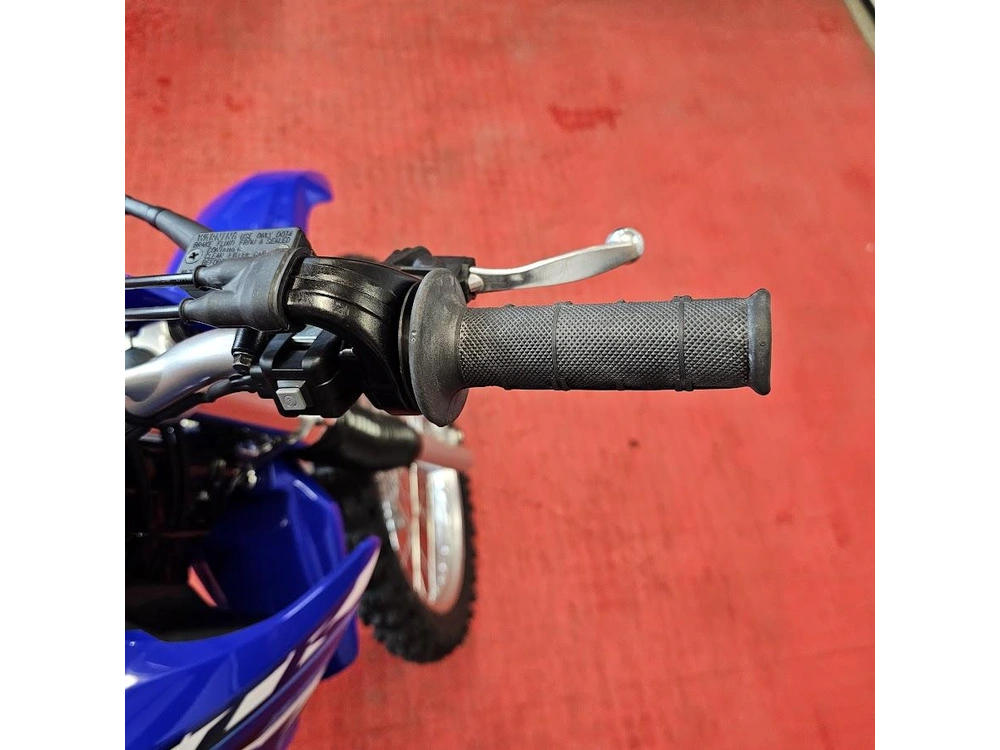 2026 Yamaha Ttr 230 alt
