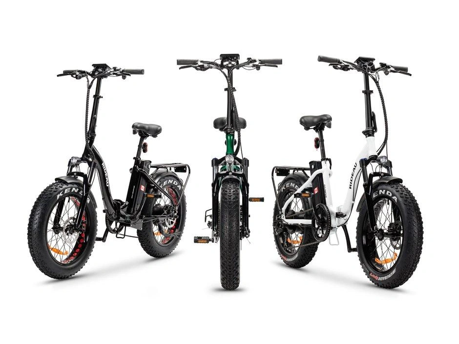 Taubik Slane Rideau 500w 48v 12ah 2021 alt