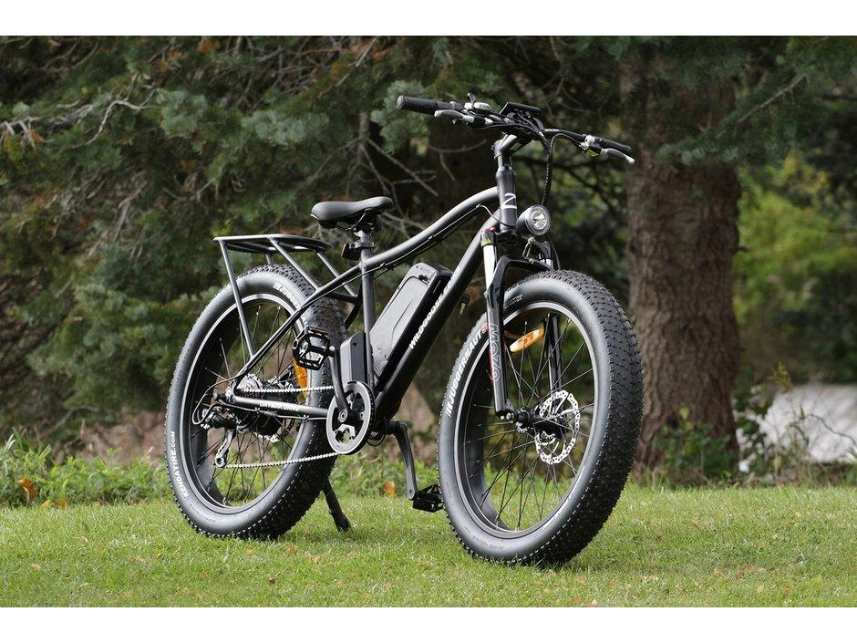 2021 Taubik Daymak Wild Goose 60v 12.5ah alt