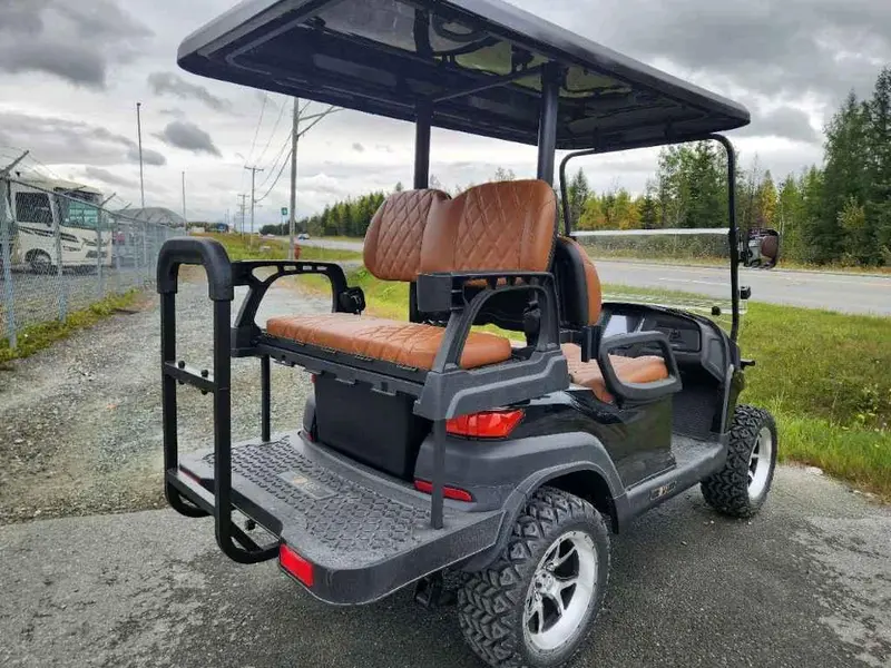 2024 Autre Leo EV M4 Cart de Golf thumbnail 4