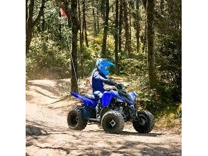 2026 Yamaha Raptor 110 alt