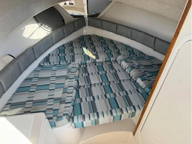 Striper Striper 2601 Wa 2006 alt