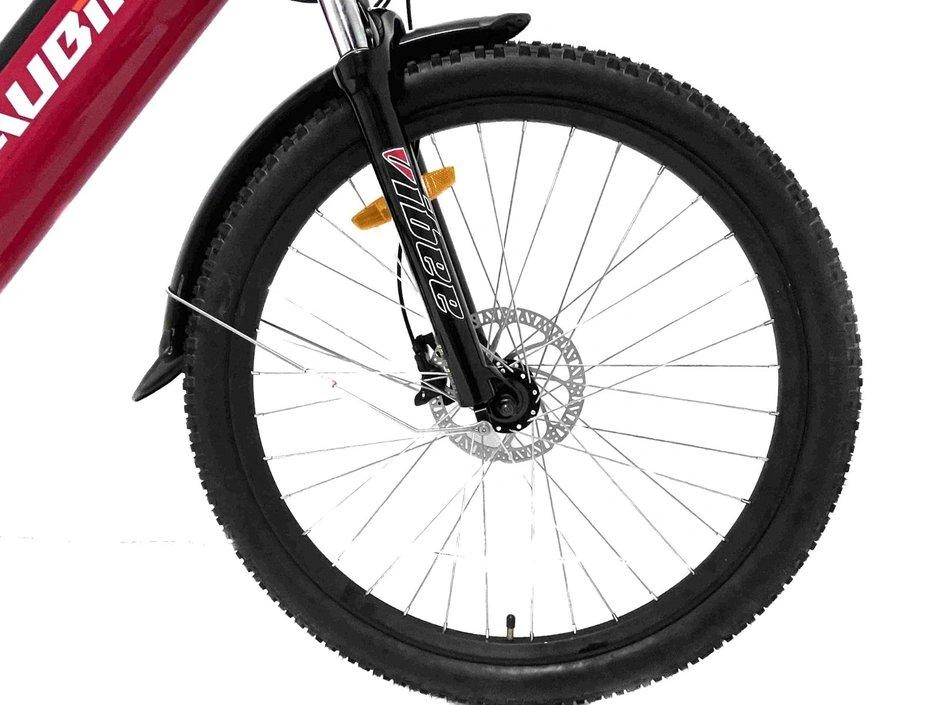 Taubik Taubik Blackburn Tl 2023 alt