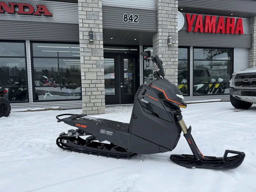 Arctic Cat WIDESCAPE 2024