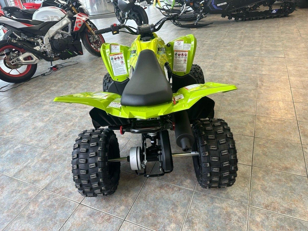 2026 Yamaha Raptor 110 alt