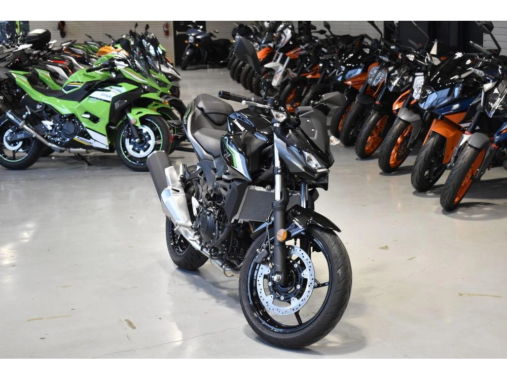 2025 Kawasaki Z500 Abs alt