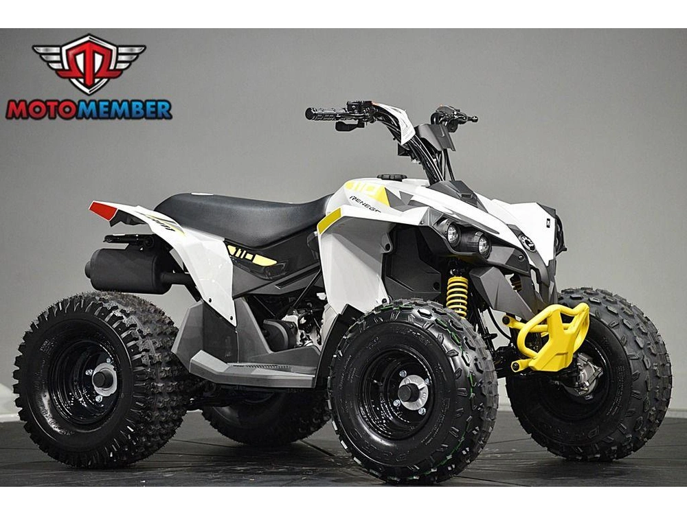 2026 Can-am Renegade 110 Efi alt