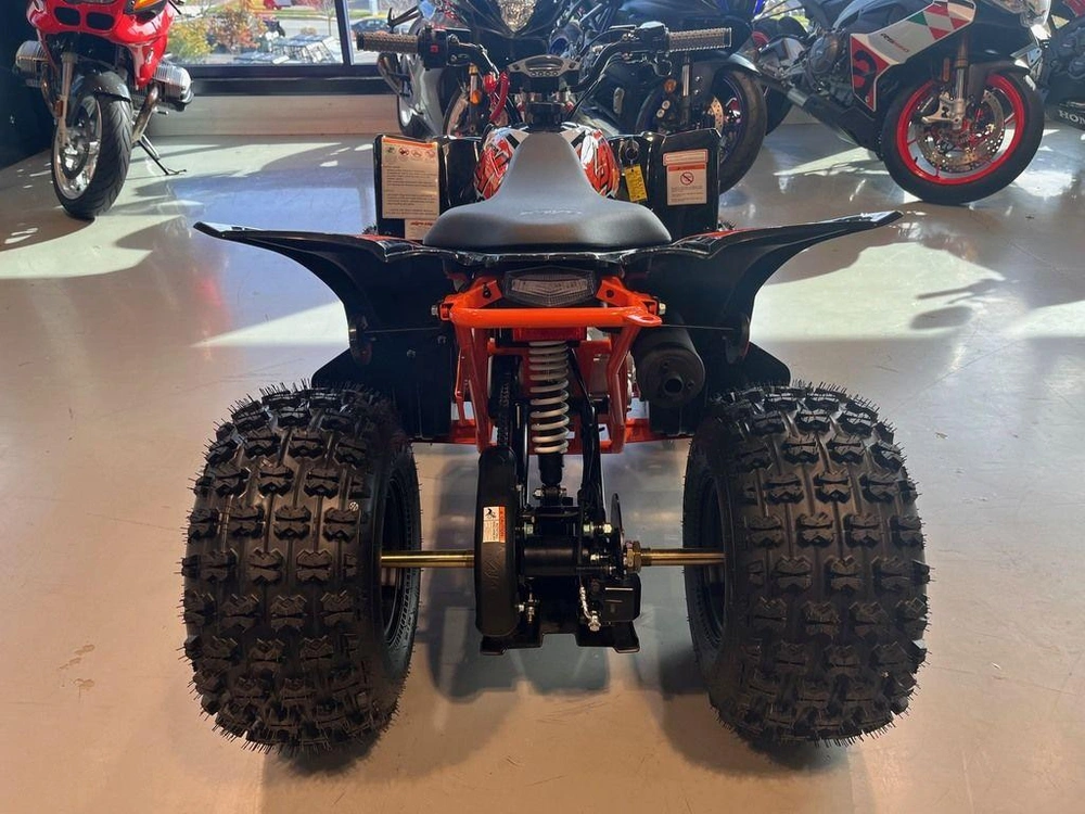 2025 Kayo Predator 125 Efi alt