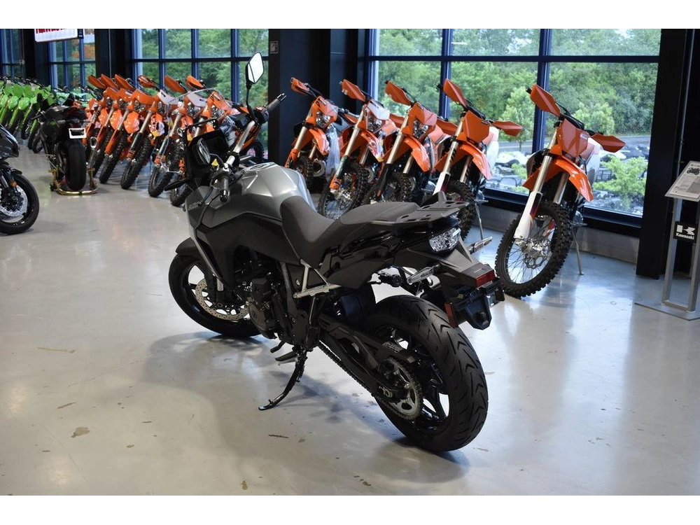 2024 Suzuki V-strom 800 alt