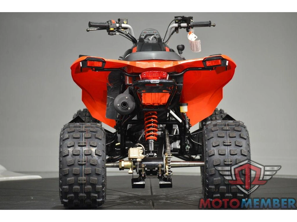 2026 Can-am Ds 250 alt
