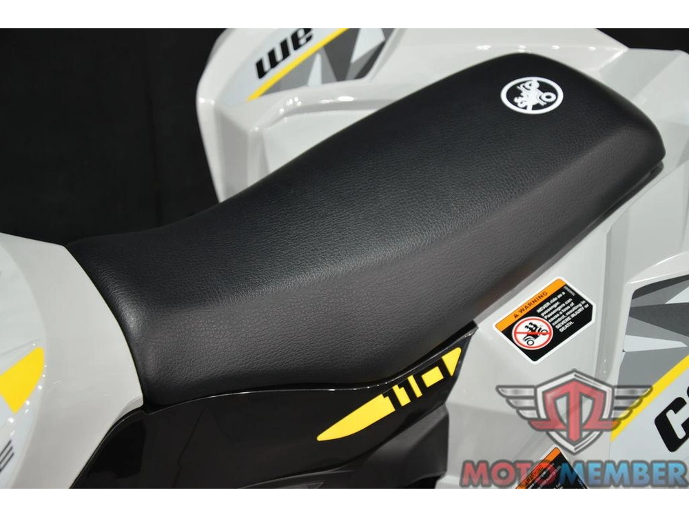 2026 Can-am Renegade 110 Efi alt