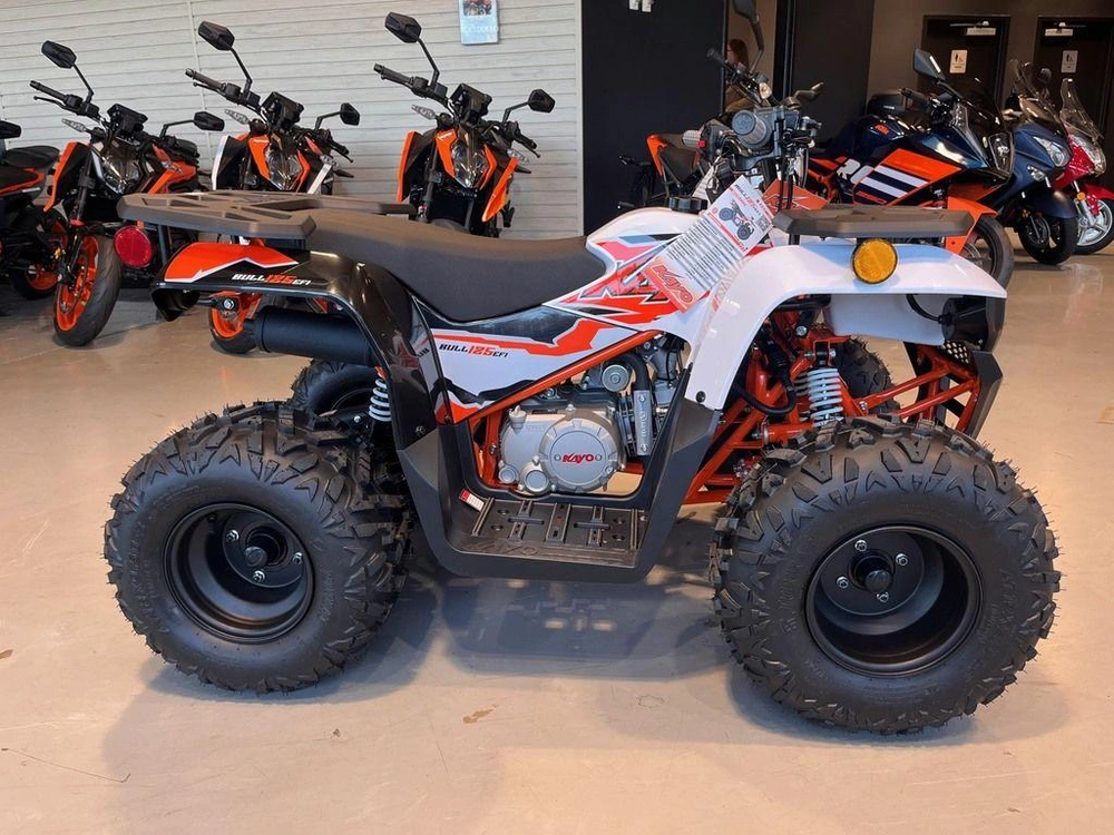 2025 Kayo Bull 125 alt