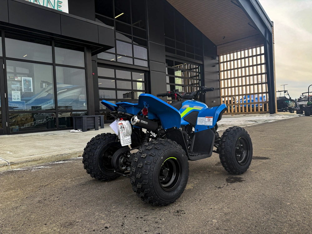 2026 Cfmoto Cforce 110 Classic alt