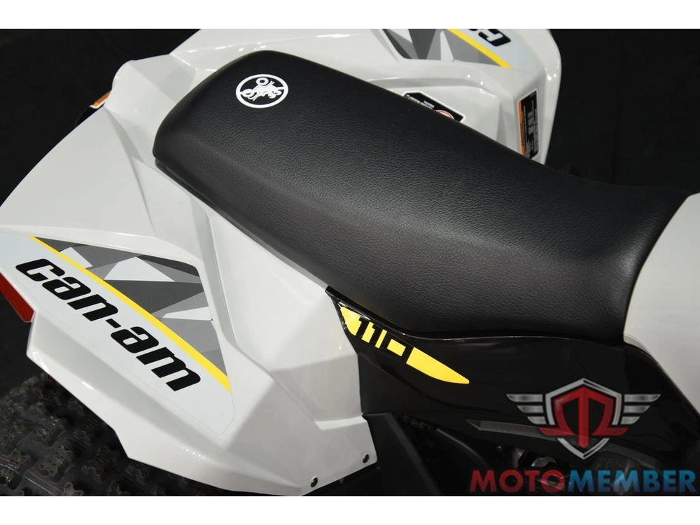 2026 Can-am Renegade 110 Efi alt