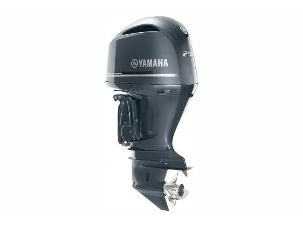 2022 Yamaha 4.2l V6 Os alt