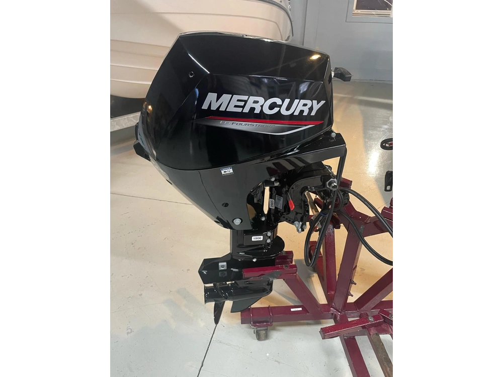 2022 Mercury 15 E 4s alt