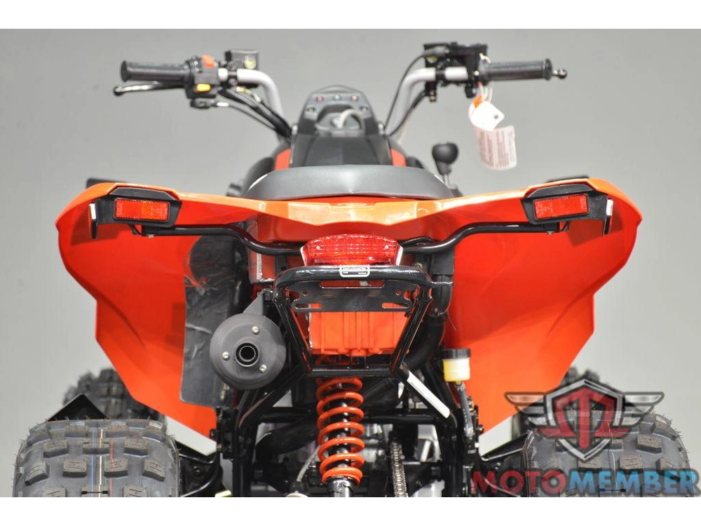 2026 Can-am Ds 250 alt
