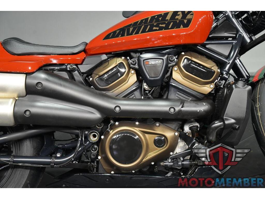 2024 Harley-Davidson Sportster S for Sale