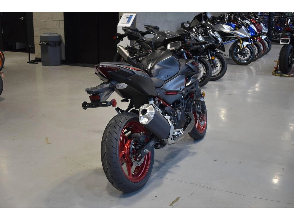 2025 Kawasaki Z500 Se Abs alt