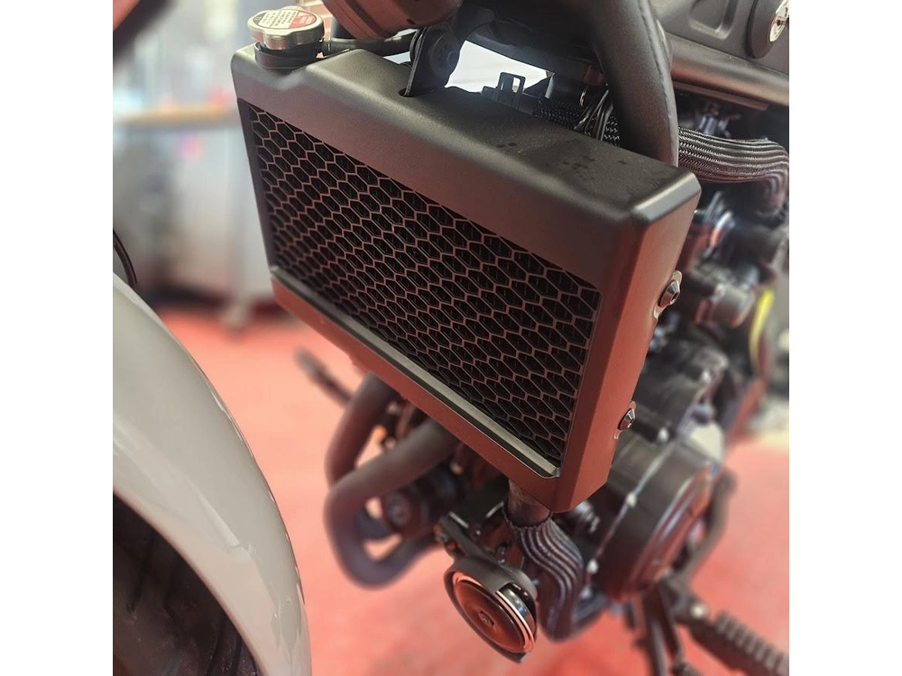 2026 Honda Rebel 500 alt