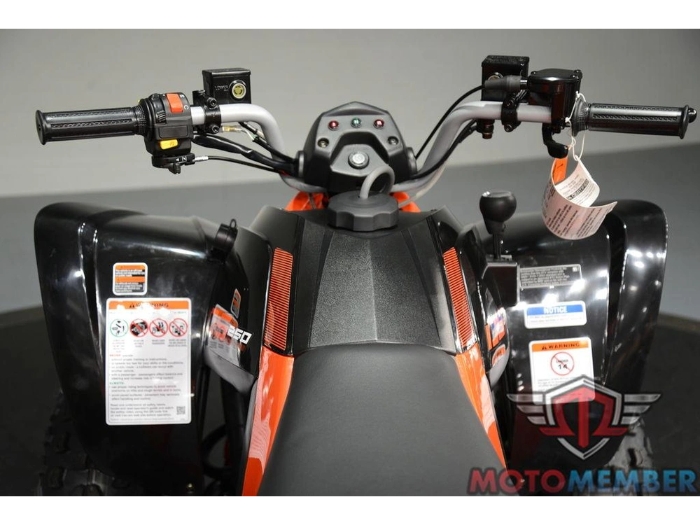 2026 Can-am Ds 250 alt