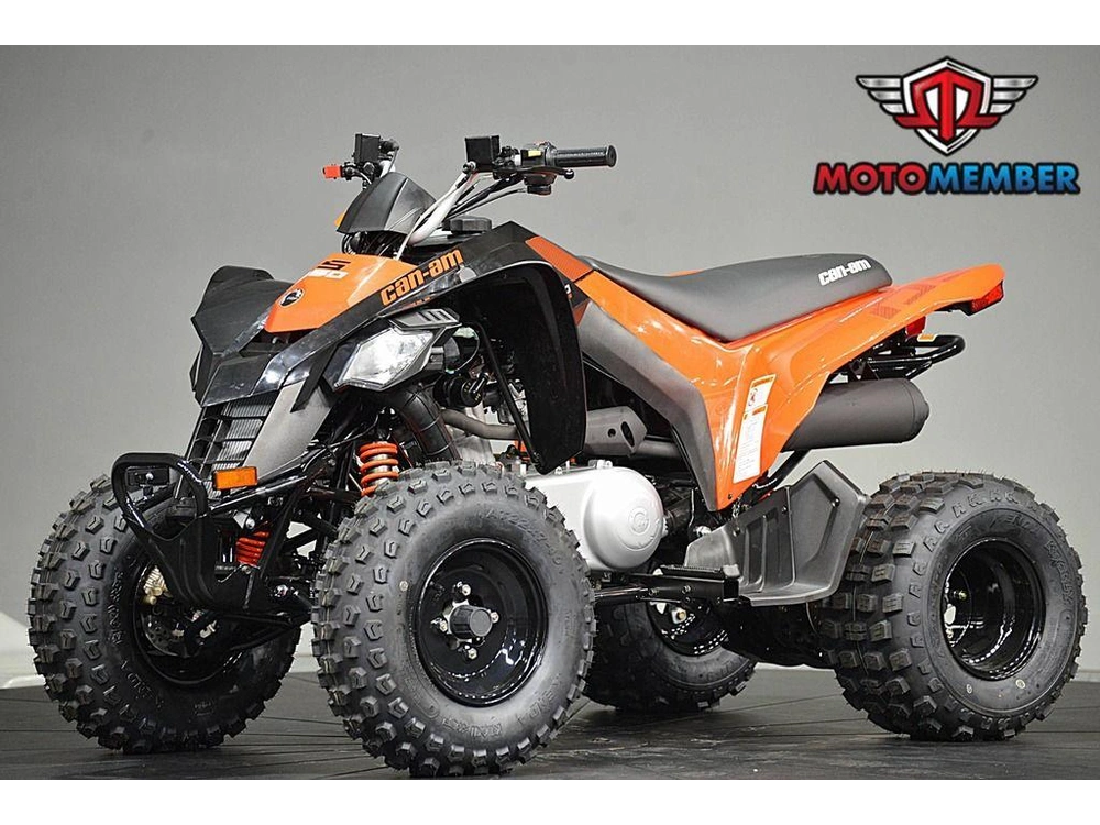 2026 Can-am Ds 250 alt
